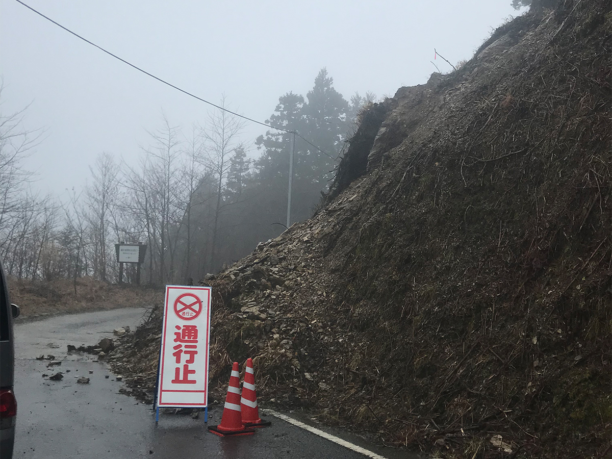 実績紹介